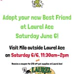 Laurel ADOPT 6 6